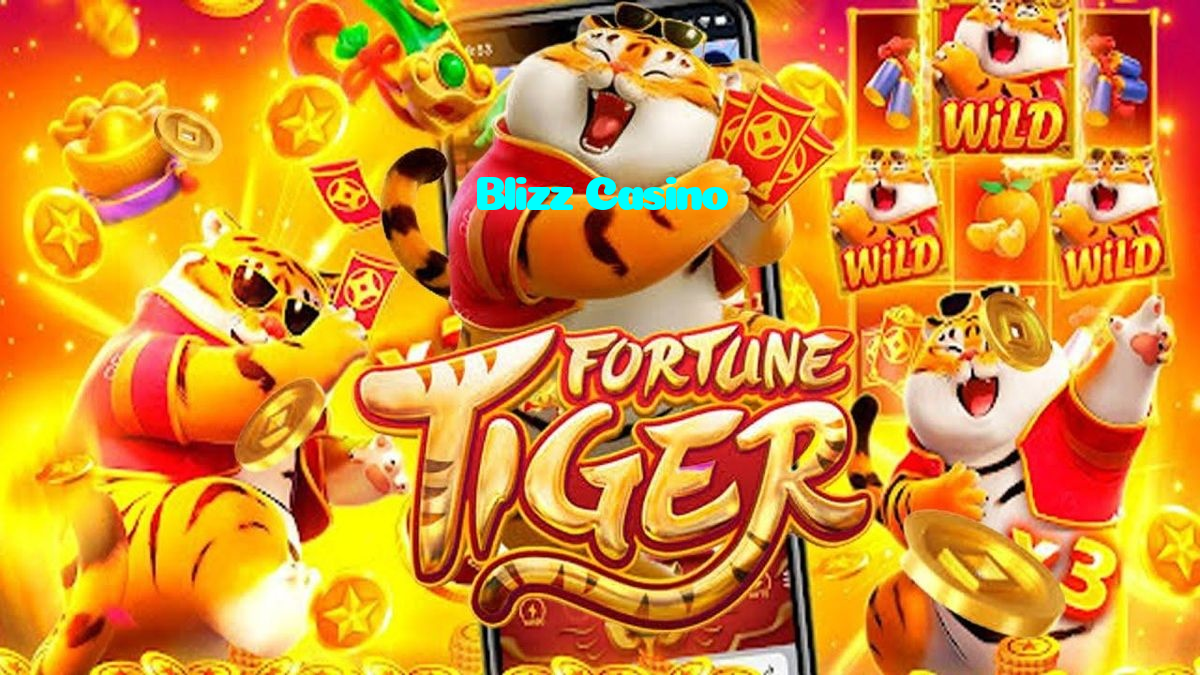 available types of Blizz Casino bet including pre-match live express and system bets